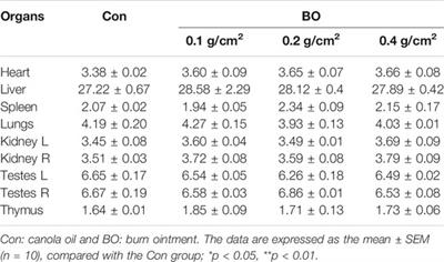 Burn Ointment Promotes Cutaneous Wound Healing by Modulating the PI3K/AKT/mTOR Signaling Pathway